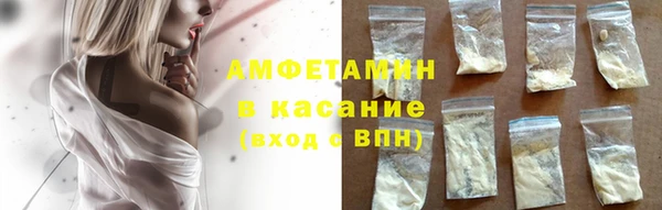 прущие грибы Аркадак