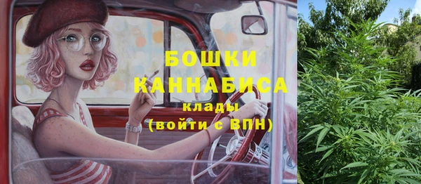 ПСИЛОЦИБИНОВЫЕ ГРИБЫ Арсеньев