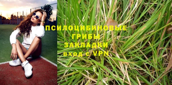 ПСИЛОЦИБИНОВЫЕ ГРИБЫ Арсеньев