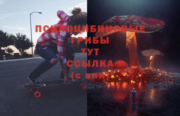 прущие грибы Аркадак