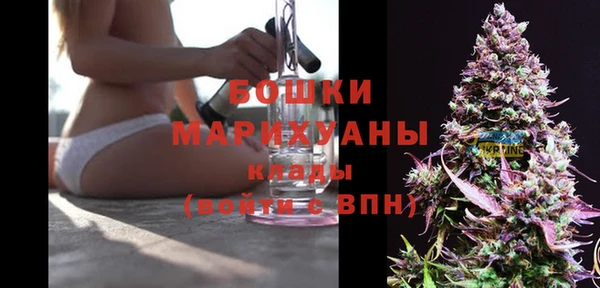 ПСИЛОЦИБИНОВЫЕ ГРИБЫ Арсеньев