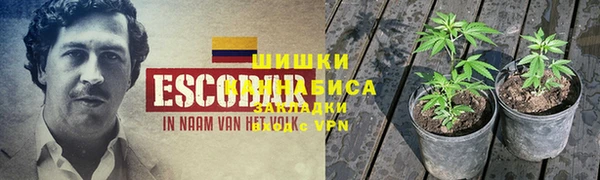 ПСИЛОЦИБИНОВЫЕ ГРИБЫ Арсеньев