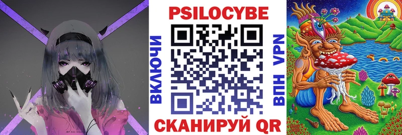 Псилоцибиновые грибы Psilocybe  blacksprut   Карталы 